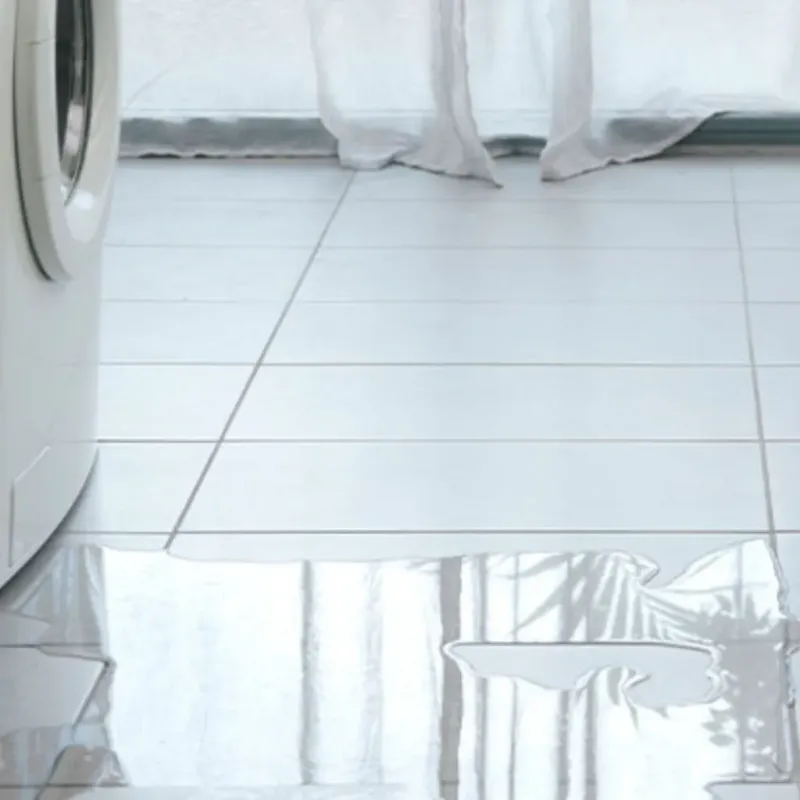 Appliance Leak Cleanup in Elida, OH