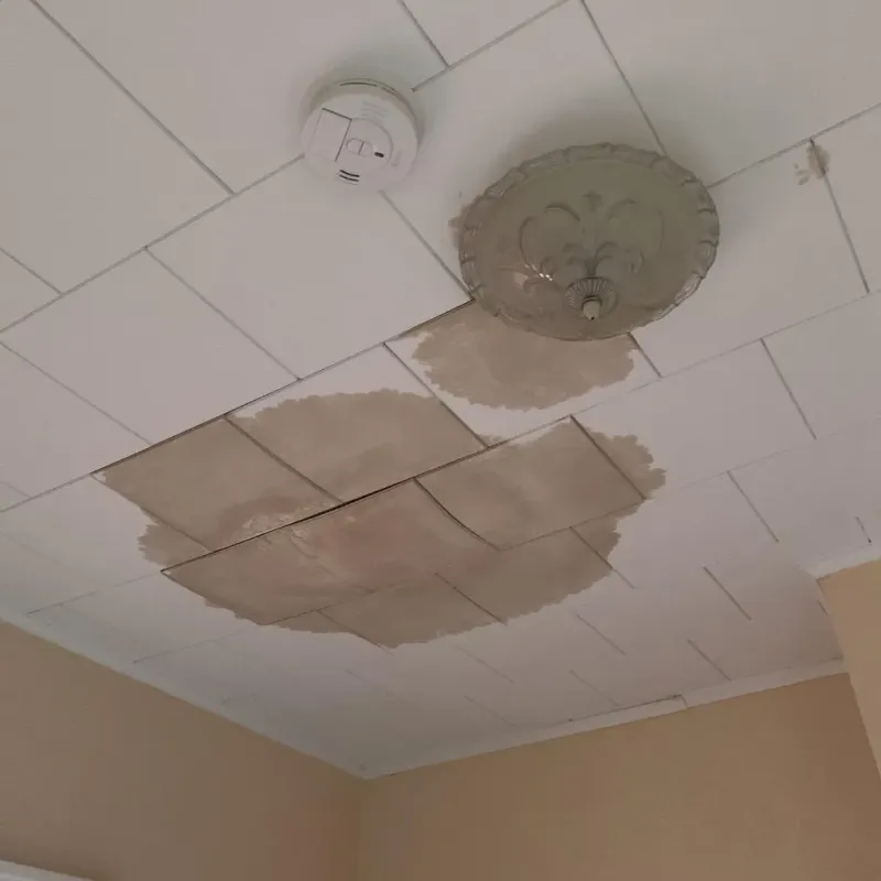 Ceiling Water Damage Repair in Elida, OH